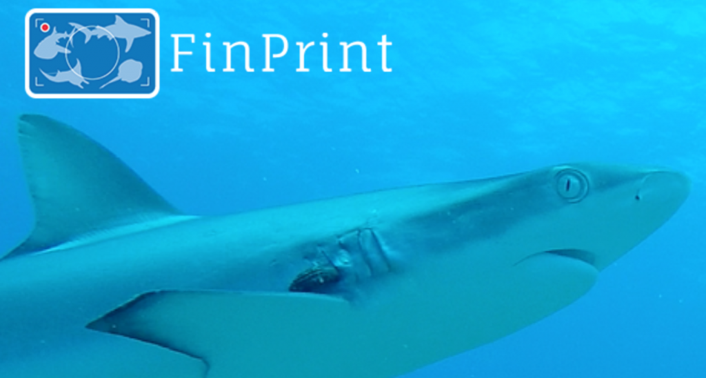 FINPRINT Project French Polynesia (2016-2018)